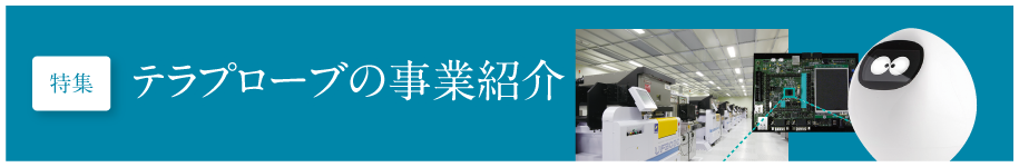 テラプローブの事業紹介